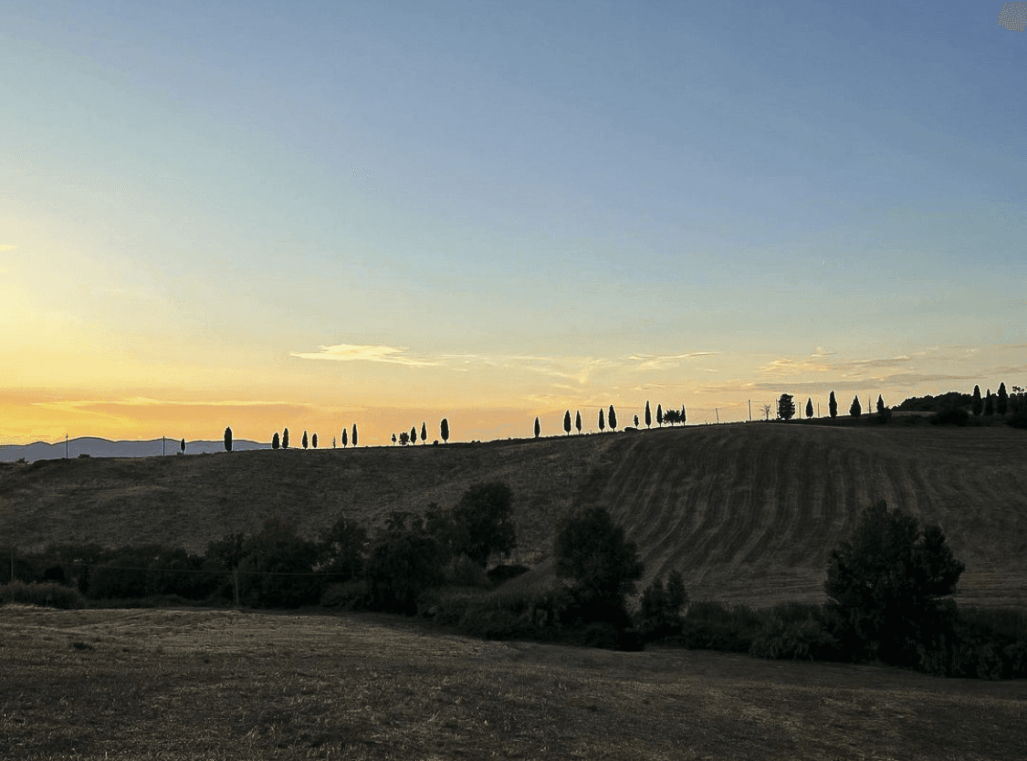 Il gusto di una storia